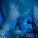 Imagen para el artículo titulado Las imágenes de animales más impresionantes de 2013